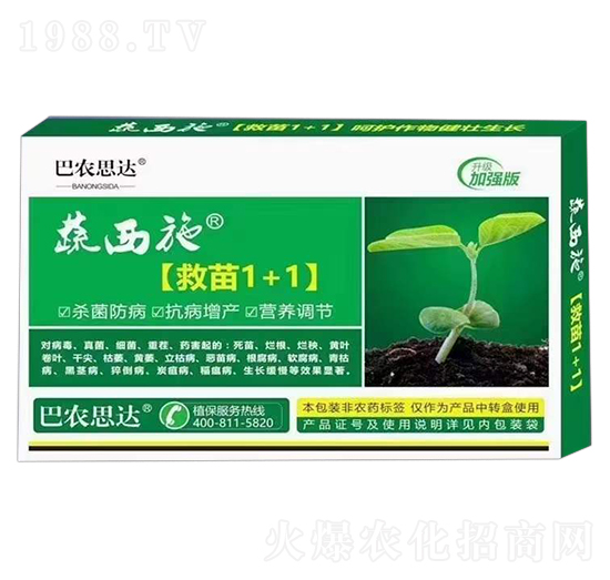 救苗1+1-蔬西施-巴農(nóng)思達(dá)