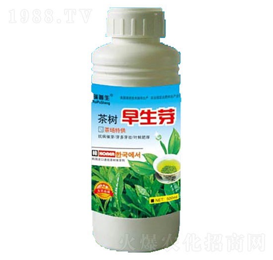 ���(sh��)����ѿ-��������