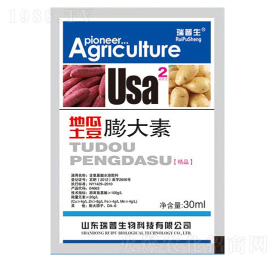 �ع����������-��������