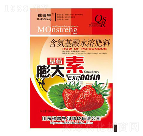 ��ݮ�����-��������