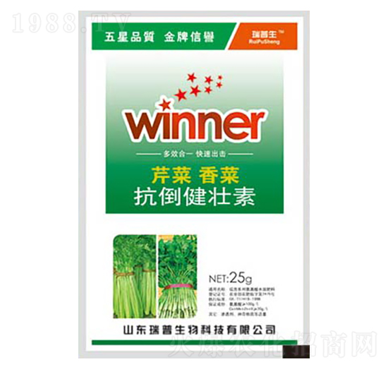 �۲���˿���������-��������