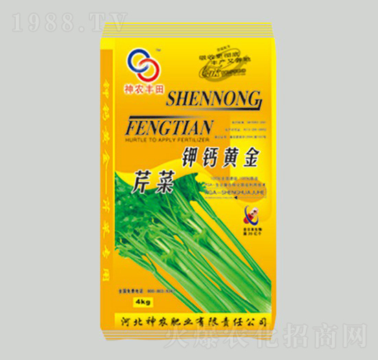 �۲���}�S��-���r�S��-���r�ʘI(y��)