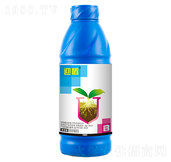 11%精甲·咯·嘧菌（1000ml）-迎盾-盈輝
