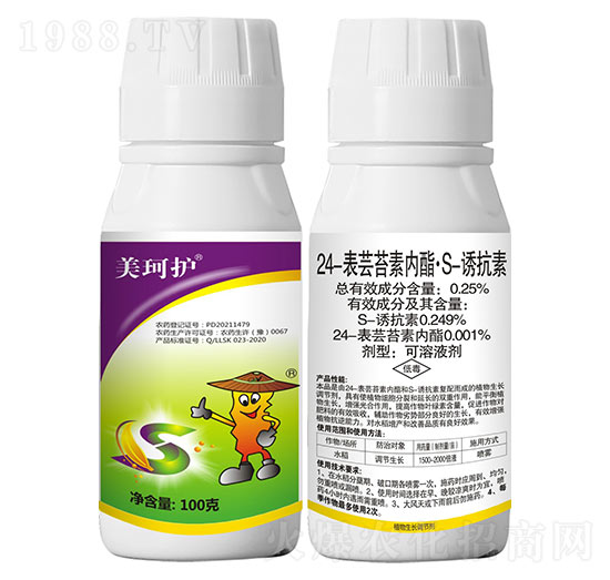 24-���|̦�؃�(n��i)����S-�T����-�����o��100�ˣ�-���r(n��ng)����