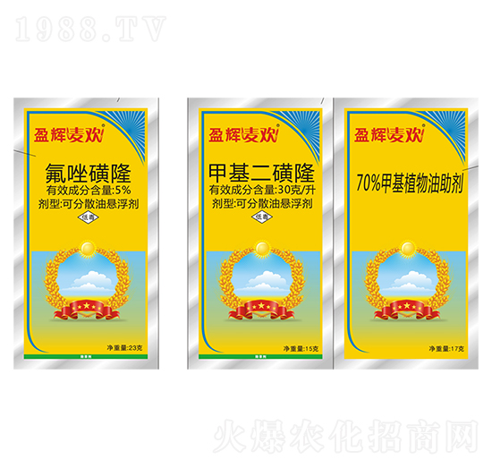 ӯ�x���g-ӯ�x