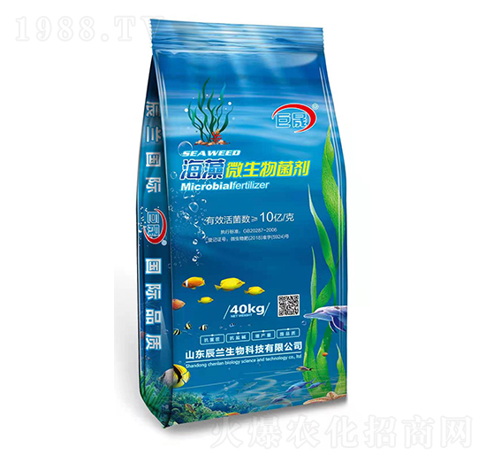 海藻微生物菌劑-巨晟-辰蘭生物