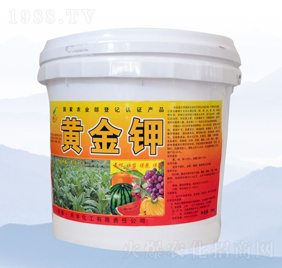 10kg�S���-���S