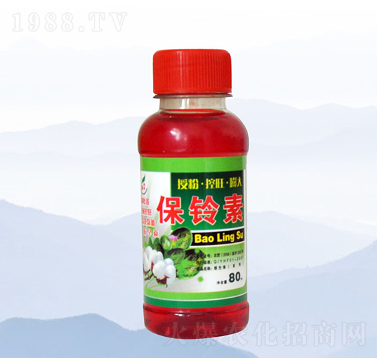 80ml�����-���S