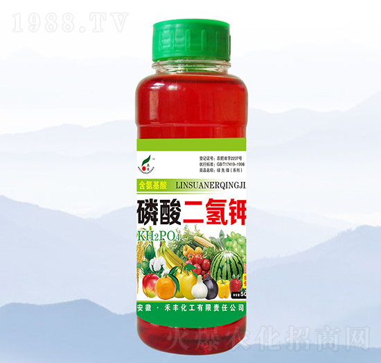 500ml����������������-���S