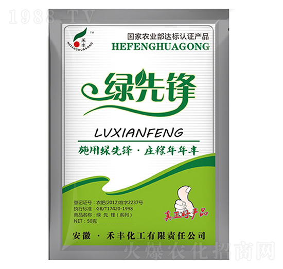 50g�G���h-���S