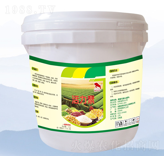 ������-���S