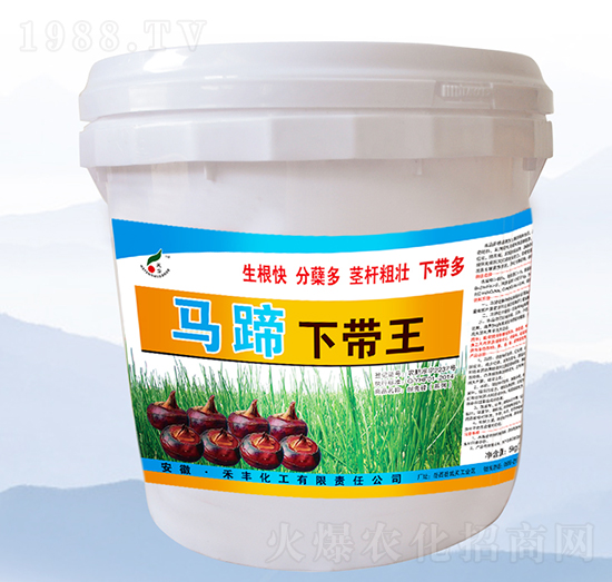 �R������-���S