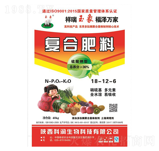 ������͏ͺϷ���18-12-6-�Ɲ�����