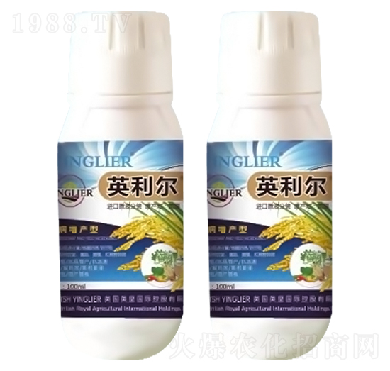 Ӣ����-ԣ��߿�