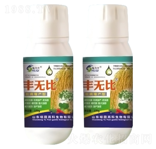 �S�o��-ʩ����-ԣ��߿�