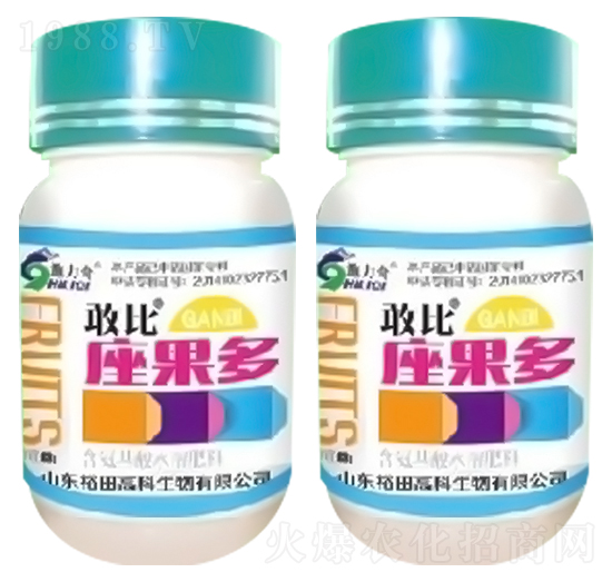 敢比座果多（膨果著色型）-施力奇-裕田高科