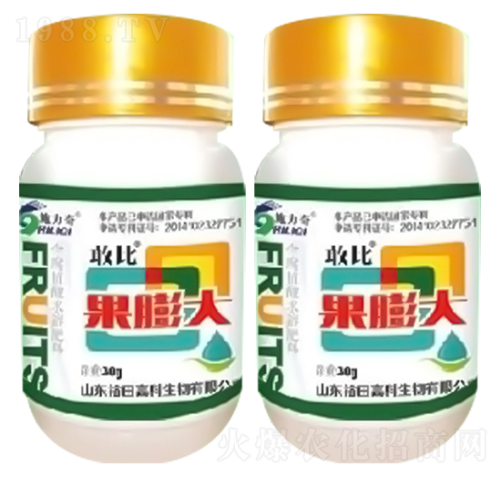 敢比果膨大（膨果著色型）-施力奇-裕田高科