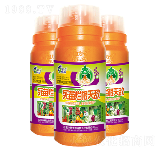 死苗爛根天敵-施力奇-裕田高科