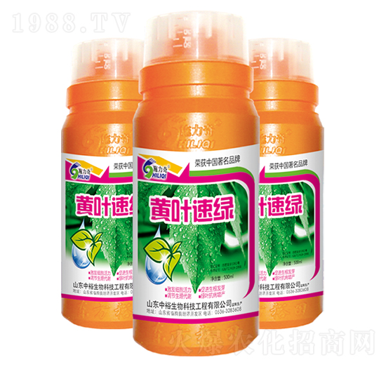 黃葉速綠-施力奇-裕田高科