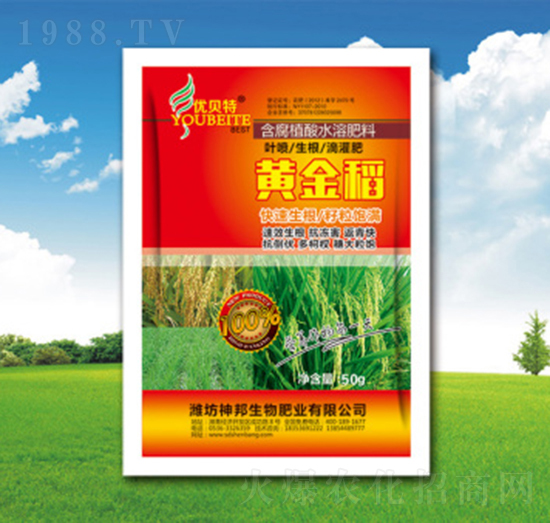 �S���~���-�������