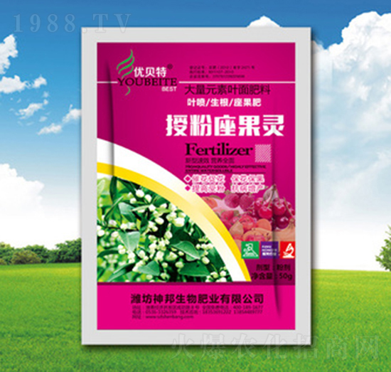 �ڷ������`-�������