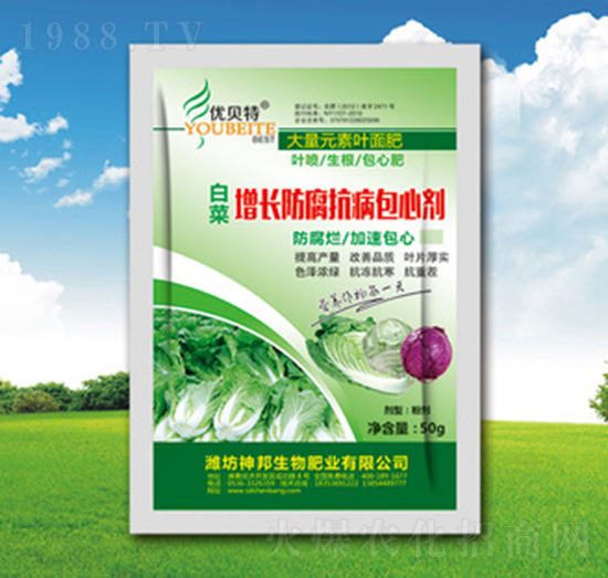 �ײ����L�����������Ą�-�������