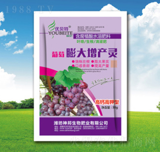 ����������a(ch��n)�`-�������