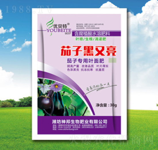 ���Ӻ�����-�������