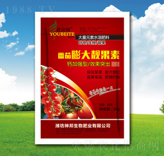 ��������n����-�������