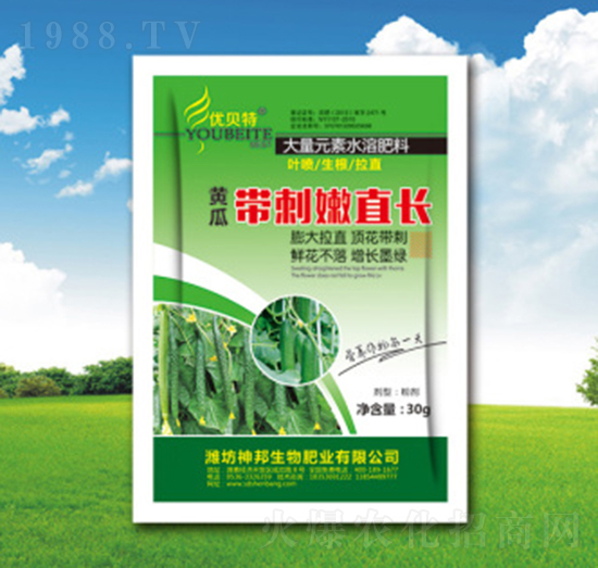 �S�ώ�����ֱ�L-�������