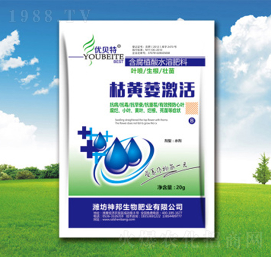 ���Sή����-�������