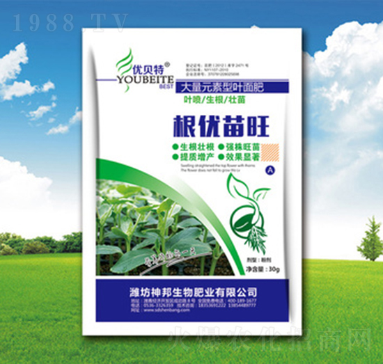 ����(y��u)����-�������