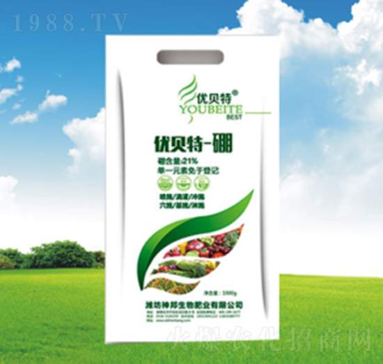 ��(y��u)ؐ��-��-�������