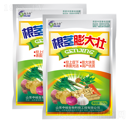 根莖膨大壯-施力奇-裕田高科