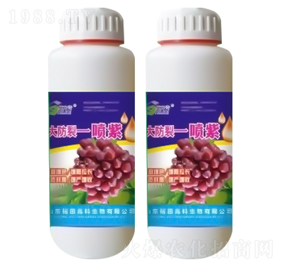 膨大防裂一噴紫-施力奇-裕田高科