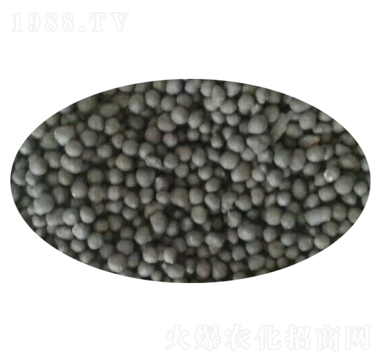 有機(jī)肥顆粒-祥牛肥業(yè)