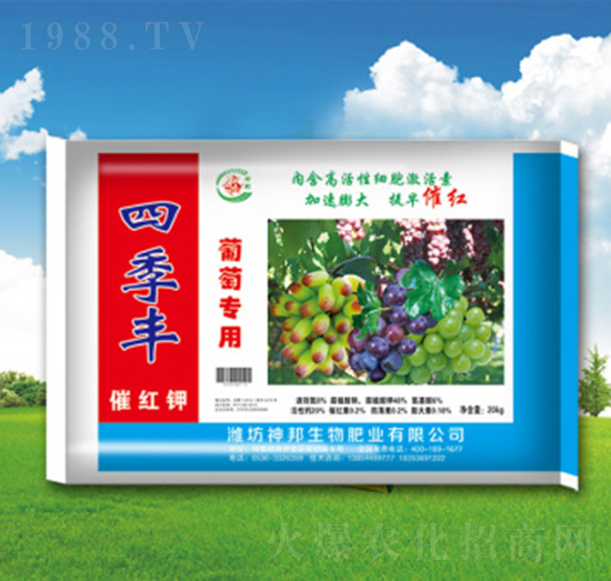 四季豐沖施肥-神邦生物