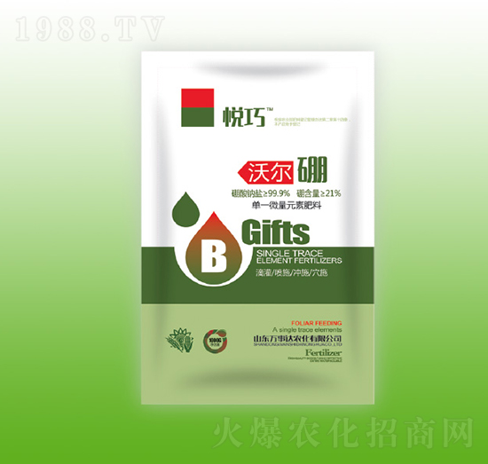 沃爾硼-悅巧-萬事達