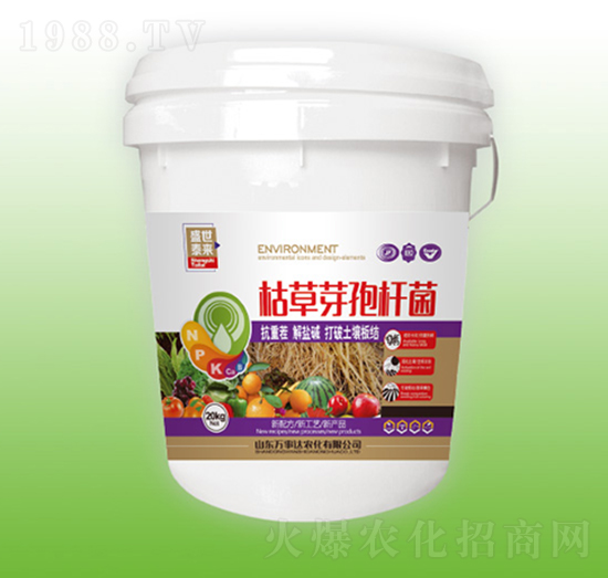 枯草芽孢桿菌-盛世泰來-萬事達