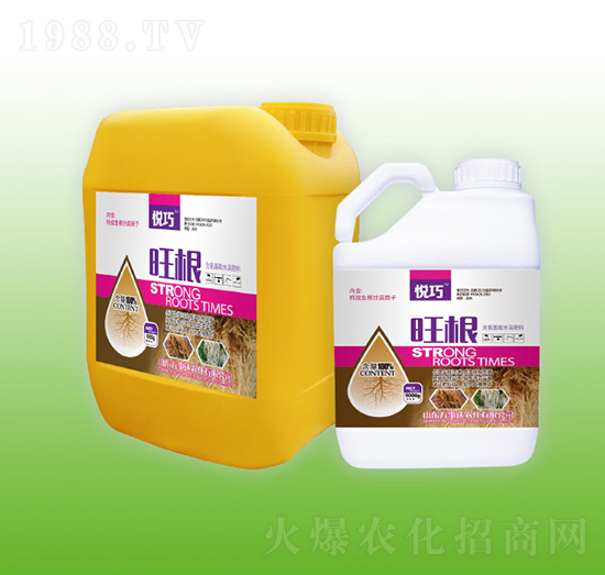 旺根-悅巧-萬事達