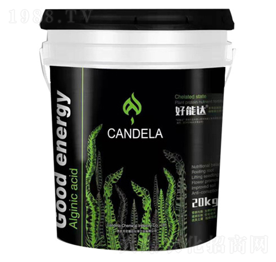 ���ך������ϑB(t��i)ֲ�ﵰ�נI(y��ng)�B(y��ng)��-�����_(d��)-�f(w��n)���_(d��)