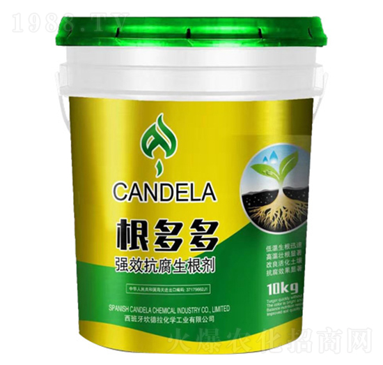 ����࿹��������-�f���_(d��)