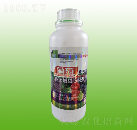 �������������ф�-����-�f���_(d��)