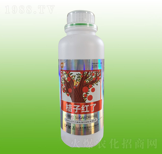 ���Ӽt��-����-�f���_(d��)