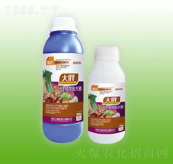 大胖地下根莖膨大素-悅巧-萬事達(dá)