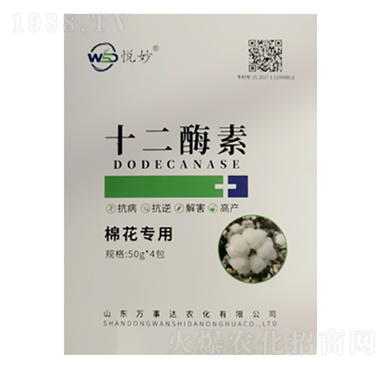 ʮ��ø�أ��޻����ã�-����-�f���_