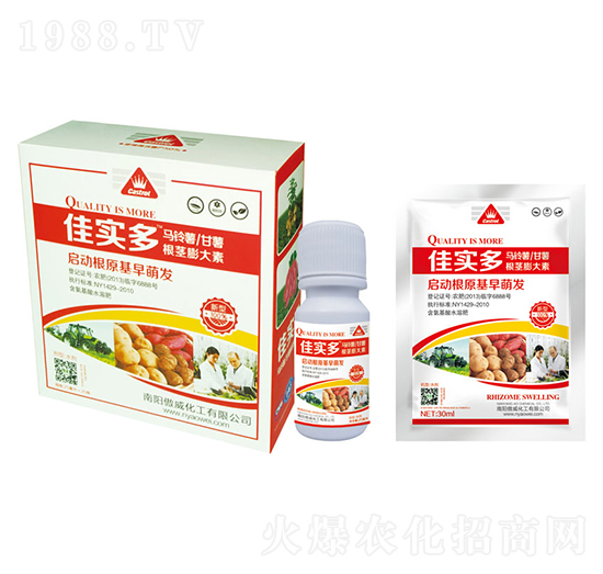 馬鈴薯甘薯根頸膨大素-佳實多-傲威