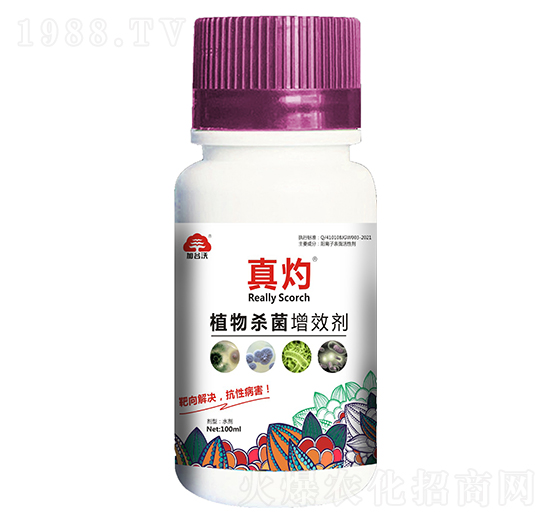植物殺菌增效劑-真灼-加谷沃