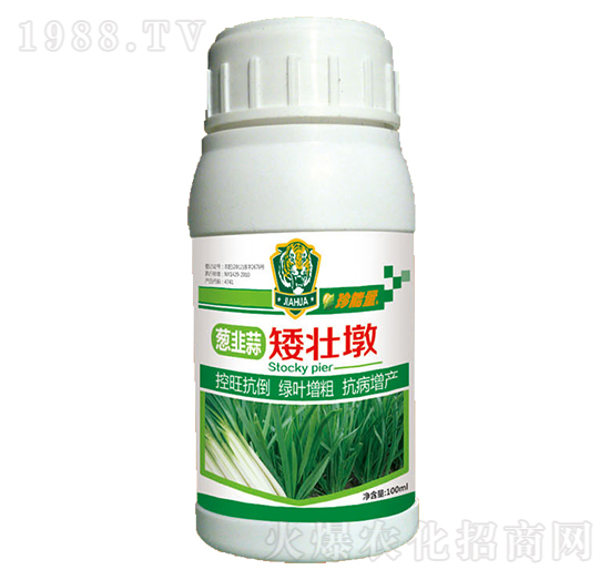 蔥非蒜矮壯墩-嘉華生物