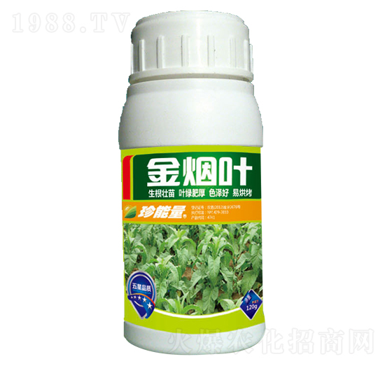 金煙葉-嘉華生物